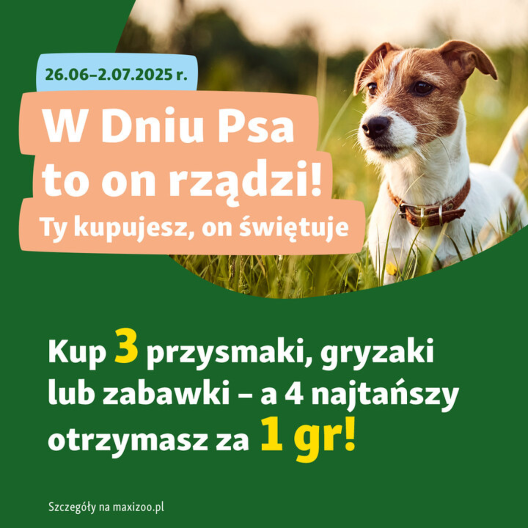 Obrazek - Promocja