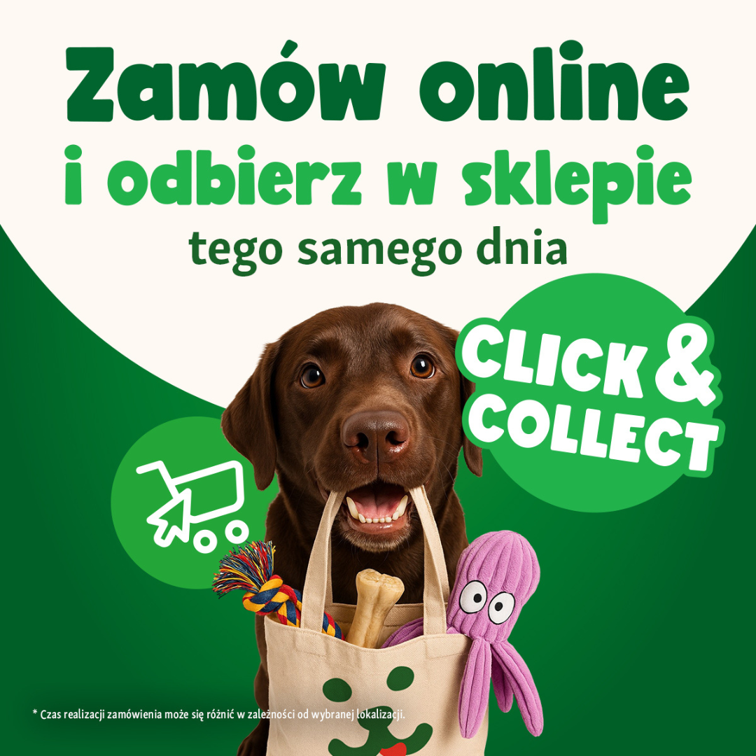 Obrazek - Promocja