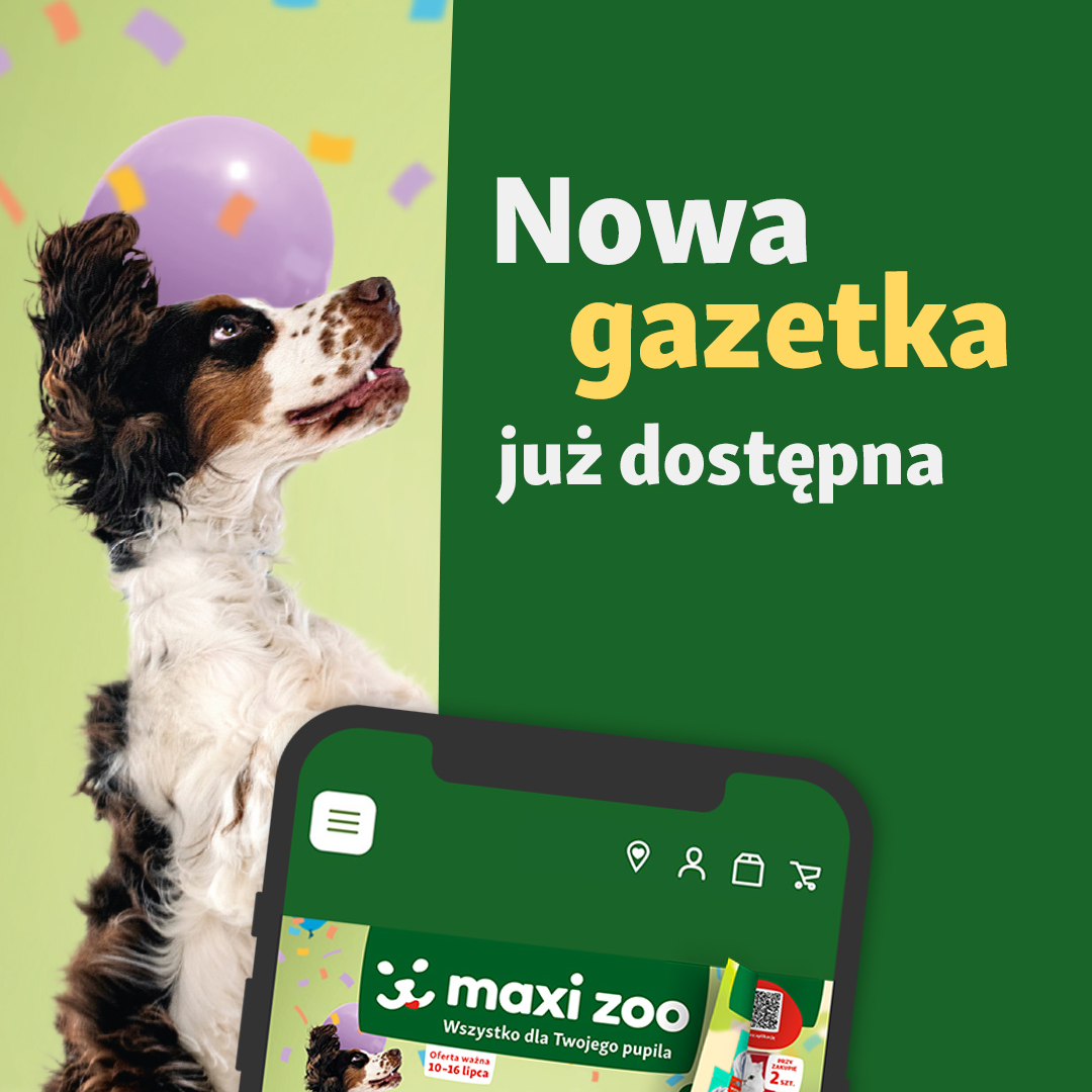Obrazek - Promocja