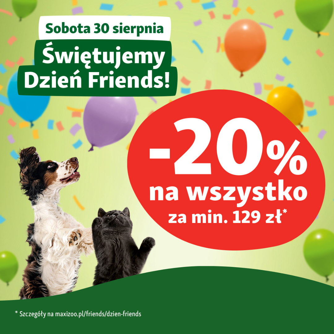 Obrazek - Promocja