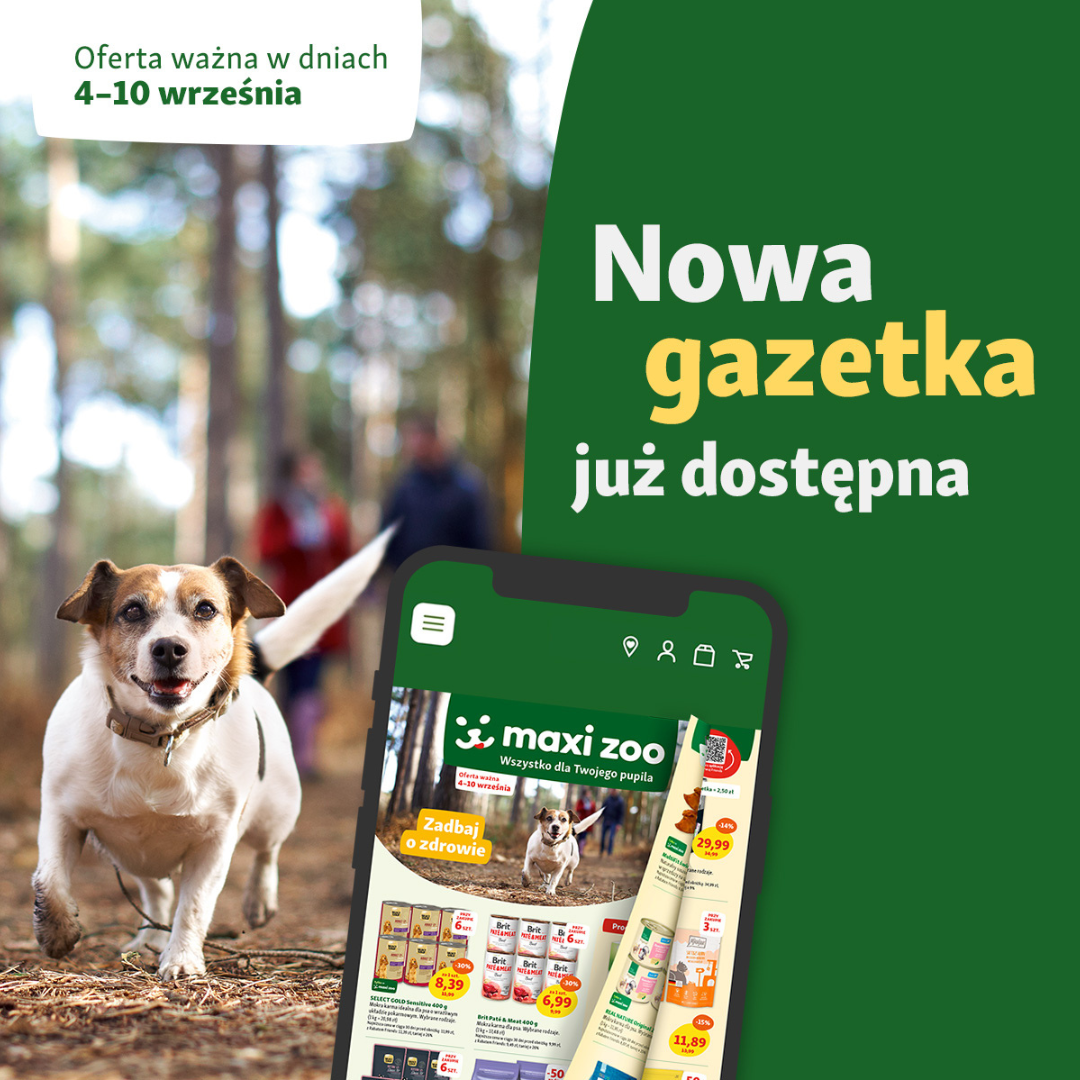 Obrazek - Promocja