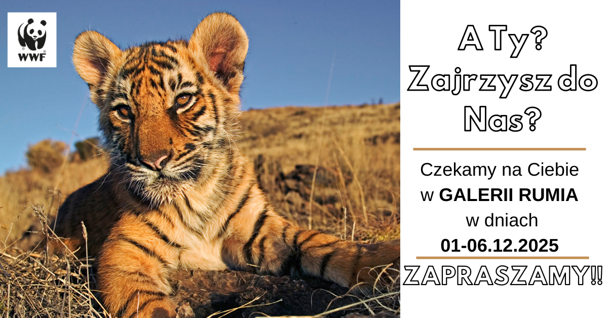 WWF w Galerii Rumia